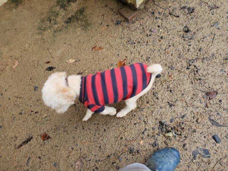 f:id:roukenhome-ann:20191203143158j:plain f:id:roukenhome-ann:20191203143158j:plain