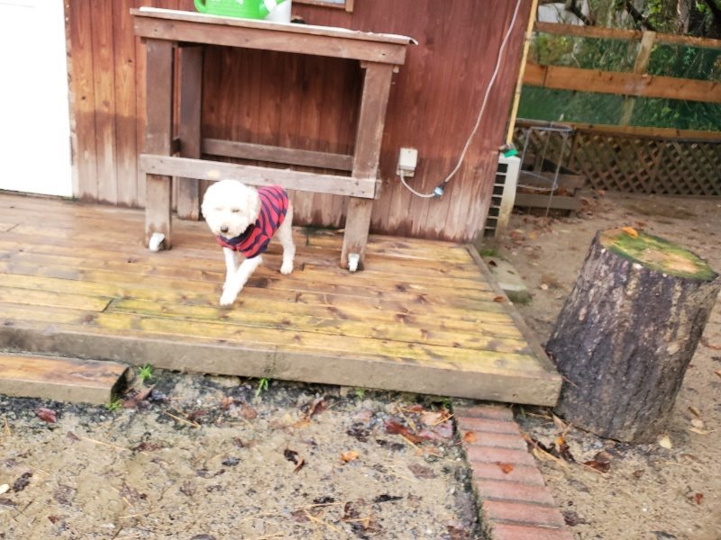 f:id:roukenhome-ann:20191203143204j:plain f:id:roukenhome-ann:20191203143204j:plain