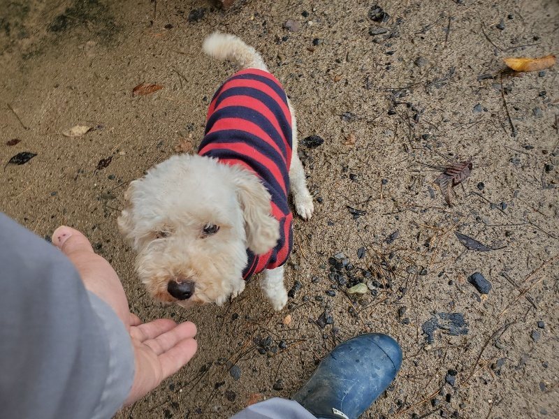 f:id:roukenhome-ann:20191203143210j:plain f:id:roukenhome-ann:20191203143210j:plain