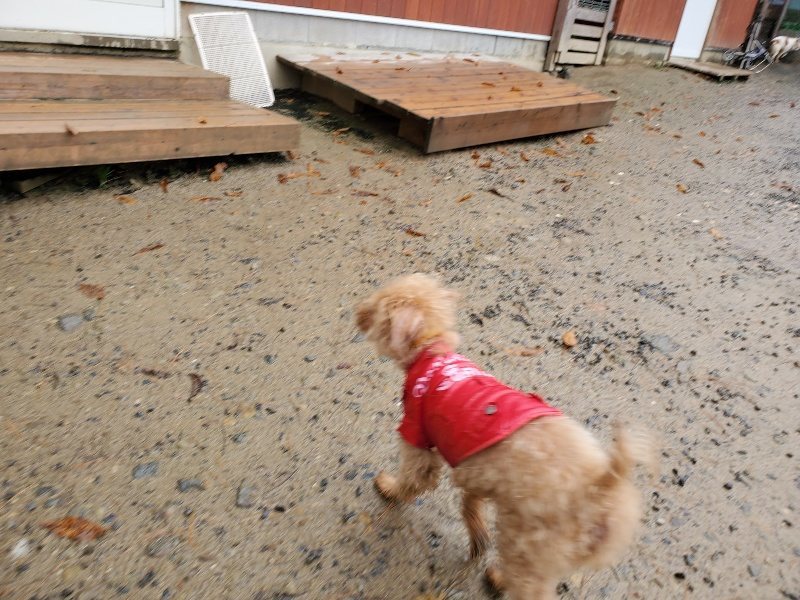 f:id:roukenhome-ann:20191203175716j:plain f:id:roukenhome-ann:20191203175716j:plain