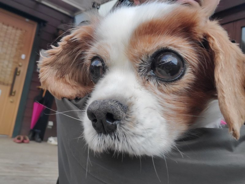 f:id:roukenhome-ann:20191203183801j:plain