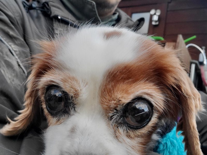 f:id:roukenhome-ann:20191203183809j:plain