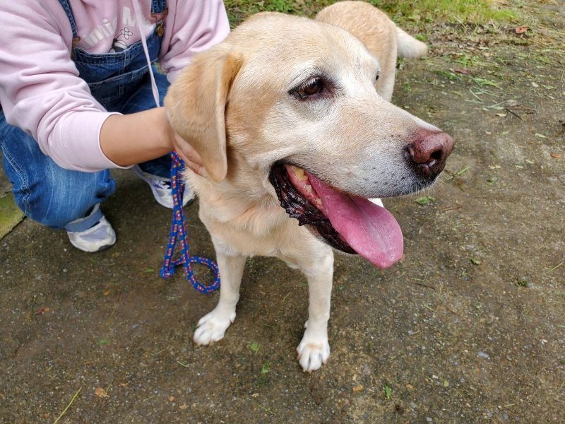 f:id:roukenhome-ann:20191205091529j:plain