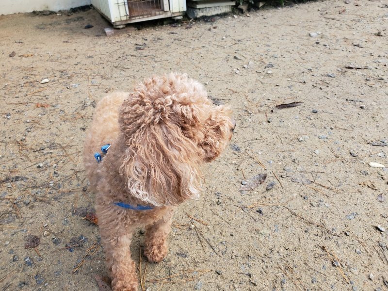 f:id:roukenhome-ann:20191206074456j:plain