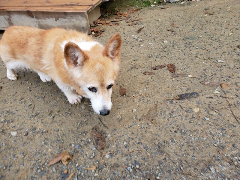 f:id:roukenhome-ann:20191206075029j:plain