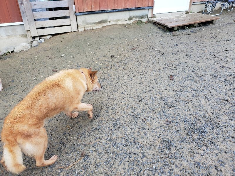 f:id:roukenhome-ann:20191206202303j:plain