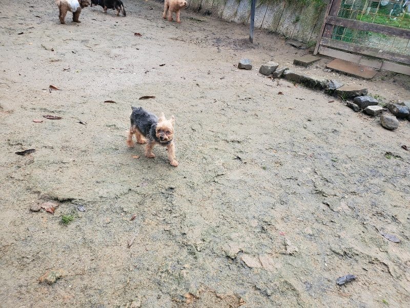 f:id:roukenhome-ann:20191206204005j:plain
