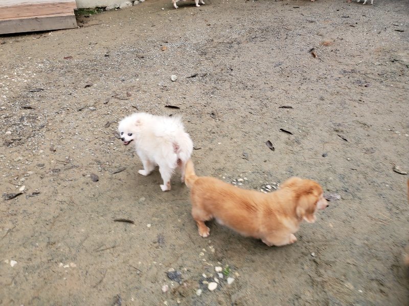 f:id:roukenhome-ann:20191207134802j:plain