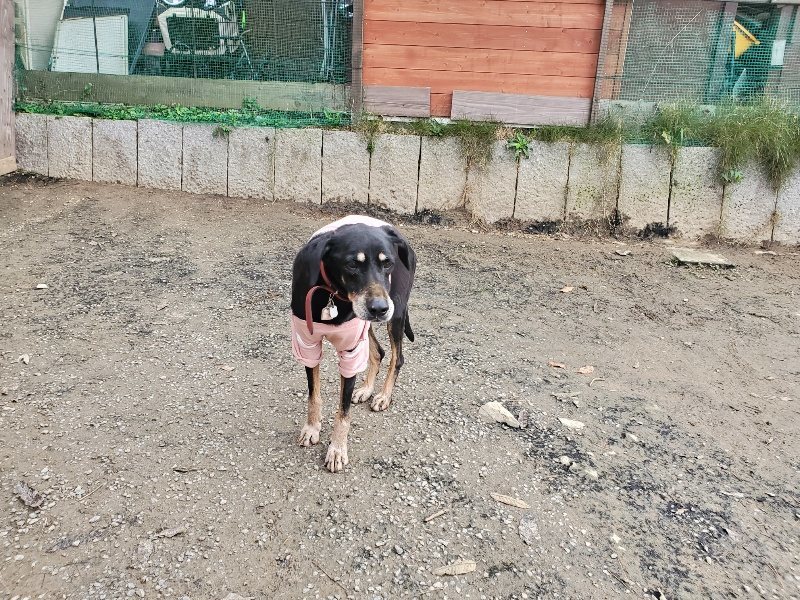 f:id:roukenhome-ann:20191207183931j:plain