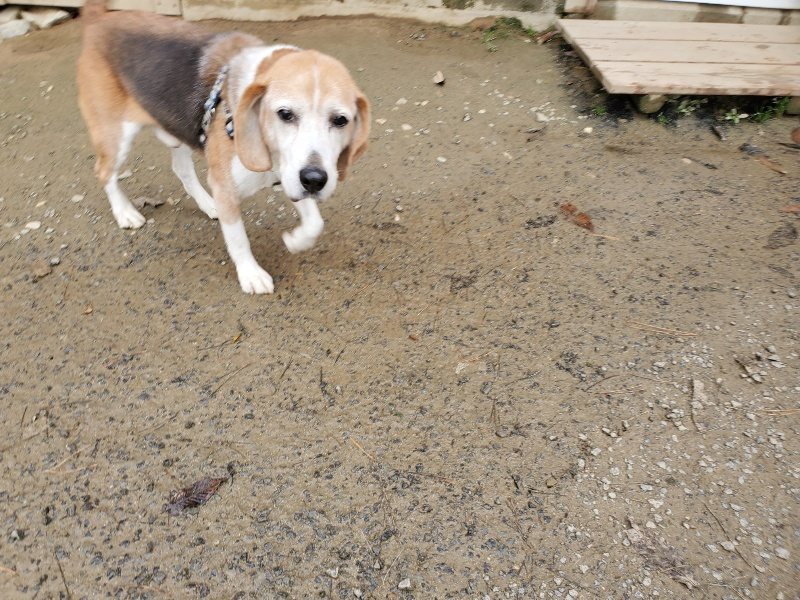 f:id:roukenhome-ann:20191207184150j:plain