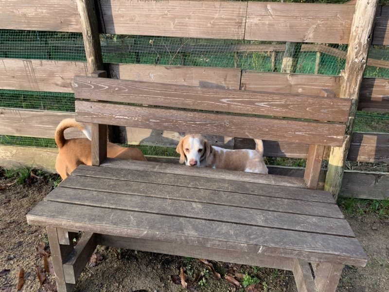 f:id:roukenhome-ann:20191208181755j:plain f:id:roukenhome-ann:20191208181755j:plain