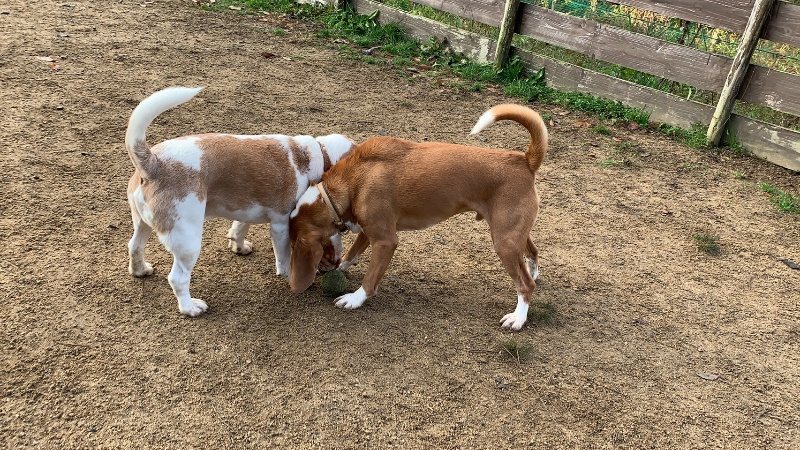 f:id:roukenhome-ann:20191208181822j:plain f:id:roukenhome-ann:20191208181822j:plain