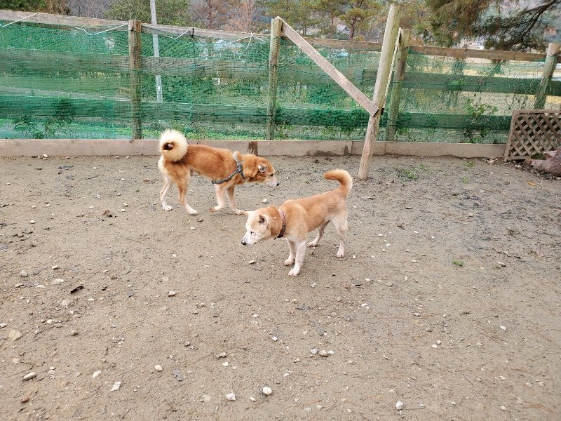 f:id:roukenhome-ann:20191209220636j:plain