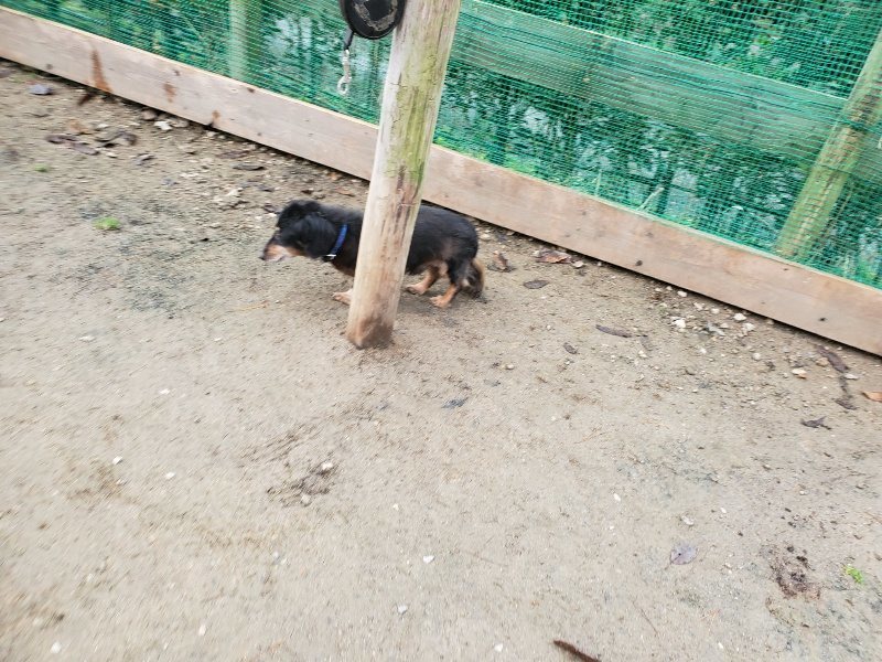 f:id:roukenhome-ann:20191209222438j:plain