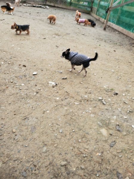 f:id:roukenhome-ann:20191209223208j:plain