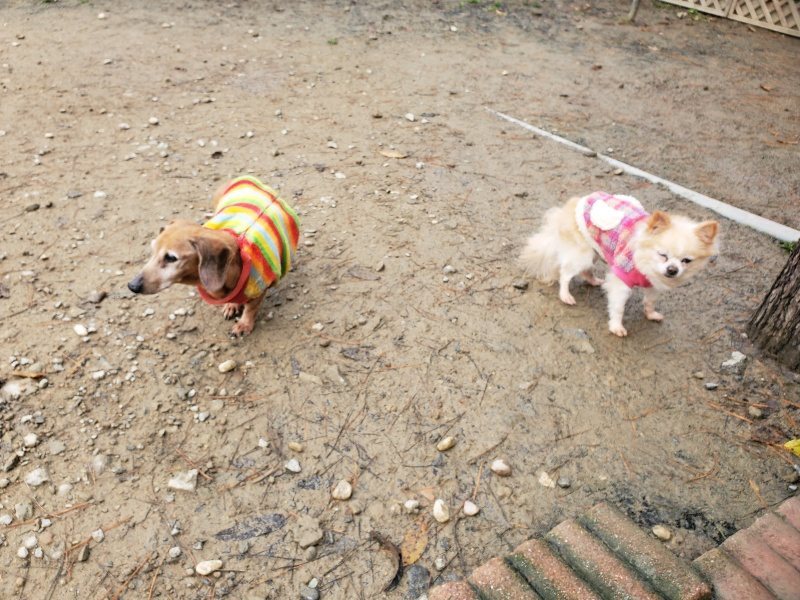 f:id:roukenhome-ann:20191209223359j:plain