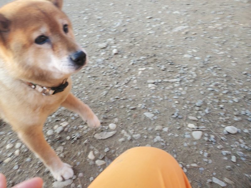 f:id:roukenhome-ann:20191210184543j:plain
