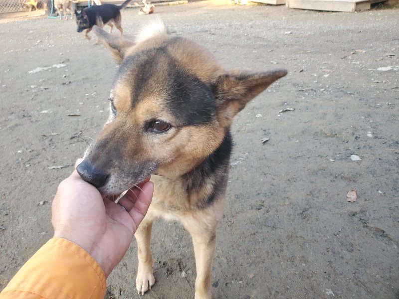 f:id:roukenhome-ann:20191210184825j:plain