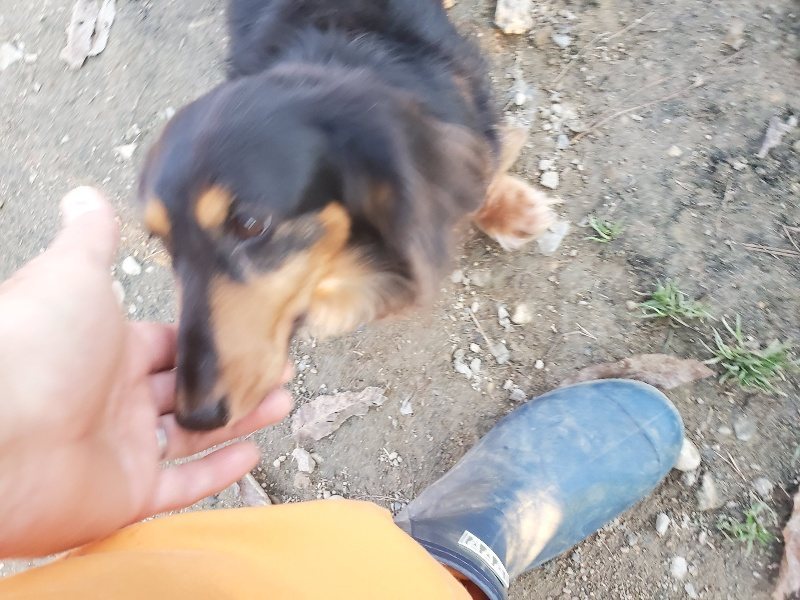f:id:roukenhome-ann:20191210191007j:plain