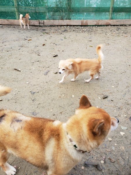 f:id:roukenhome-ann:20191213131937j:plain f:id:roukenhome-ann:20191213131937j:plain