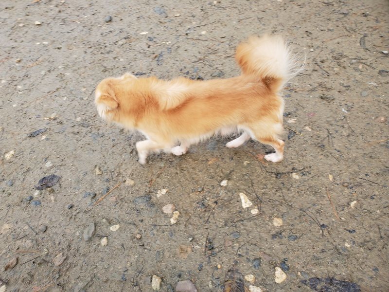 f:id:roukenhome-ann:20191213131942j:plain f:id:roukenhome-ann:20191213131942j:plain