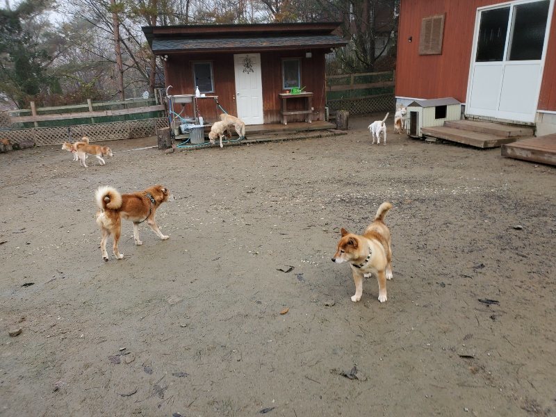 f:id:roukenhome-ann:20191213131949j:plain f:id:roukenhome-ann:20191213131949j:plain