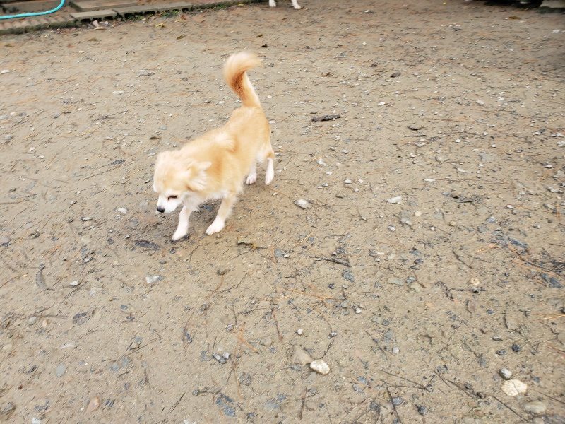 f:id:roukenhome-ann:20191213131957j:plain f:id:roukenhome-ann:20191213131957j:plain