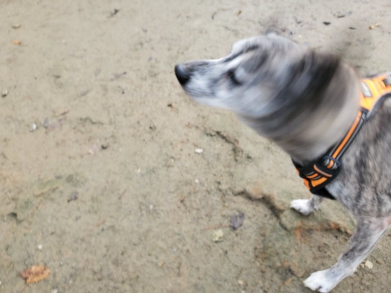 f:id:roukenhome-ann:20191213132007j:plain f:id:roukenhome-ann:20191213132007j:plain