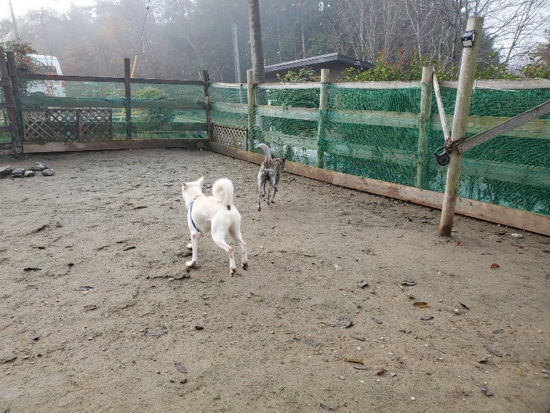 f:id:roukenhome-ann:20191213132023j:plain f:id:roukenhome-ann:20191213132023j:plain