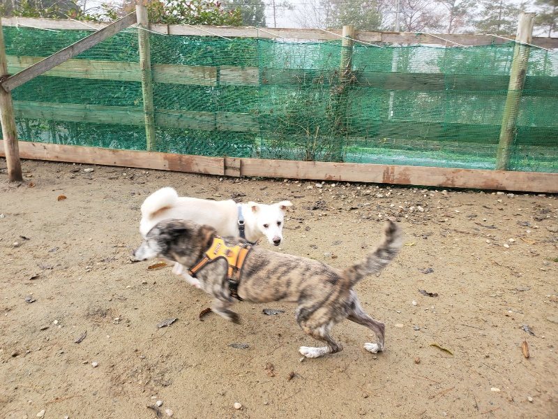f:id:roukenhome-ann:20191213132035j:plain f:id:roukenhome-ann:20191213132035j:plain