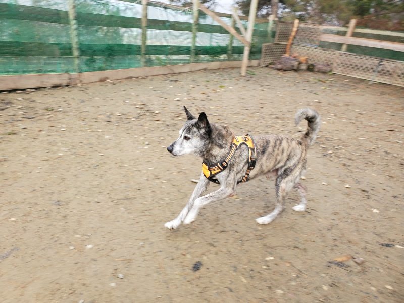 f:id:roukenhome-ann:20191213132042j:plain f:id:roukenhome-ann:20191213132042j:plain