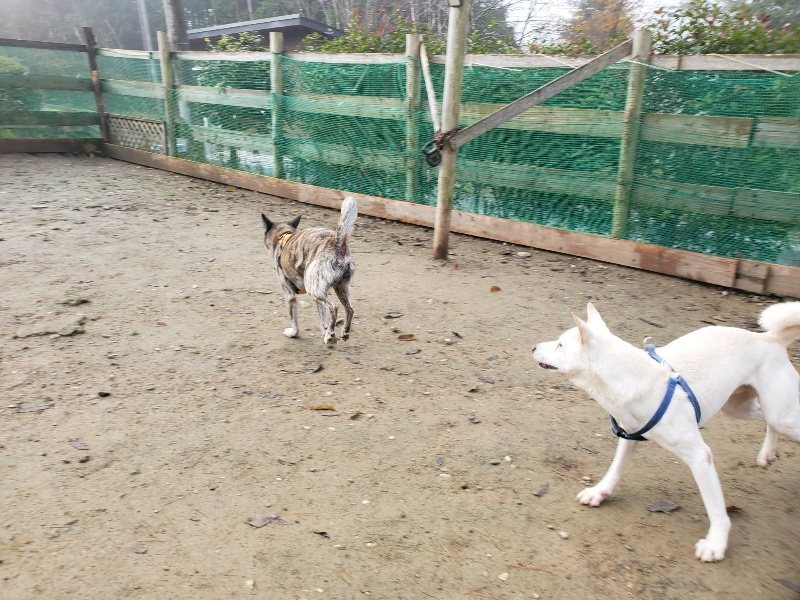 f:id:roukenhome-ann:20191213132050j:plain f:id:roukenhome-ann:20191213132050j:plain