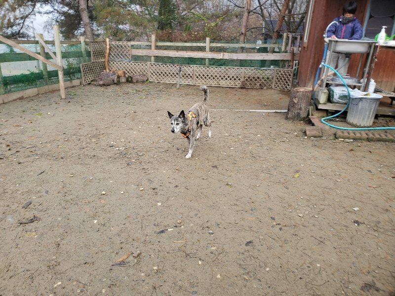 f:id:roukenhome-ann:20191213132058j:plain f:id:roukenhome-ann:20191213132058j:plain