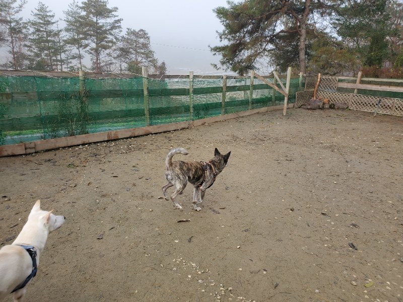 f:id:roukenhome-ann:20191213132105j:plain f:id:roukenhome-ann:20191213132105j:plain