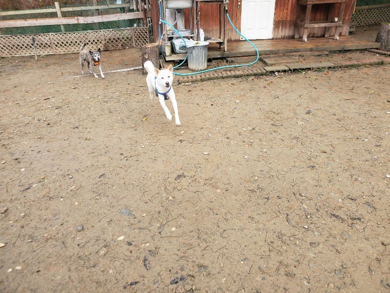 f:id:roukenhome-ann:20191213132116j:plain f:id:roukenhome-ann:20191213132116j:plain