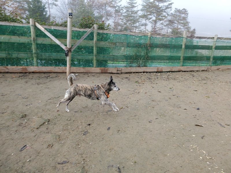 f:id:roukenhome-ann:20191213132133j:plain f:id:roukenhome-ann:20191213132133j:plain