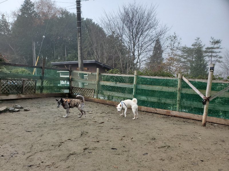 f:id:roukenhome-ann:20191213132202j:plain f:id:roukenhome-ann:20191213132202j:plain