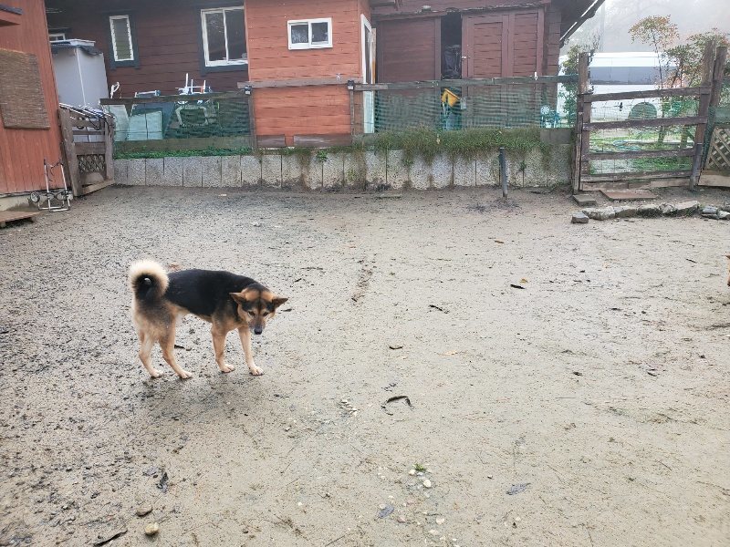 f:id:roukenhome-ann:20191213132213j:plain f:id:roukenhome-ann:20191213132213j:plain
