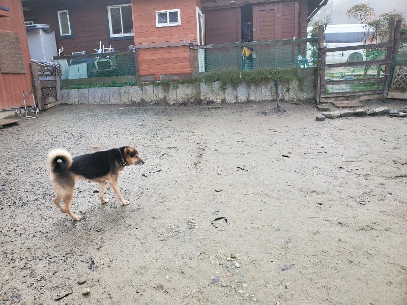 f:id:roukenhome-ann:20191213132220j:plain f:id:roukenhome-ann:20191213132220j:plain