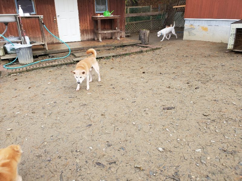 f:id:roukenhome-ann:20191213132233j:plain f:id:roukenhome-ann:20191213132233j:plain