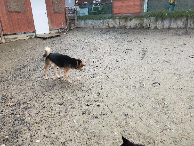 f:id:roukenhome-ann:20191213132241j:plain f:id:roukenhome-ann:20191213132241j:plain