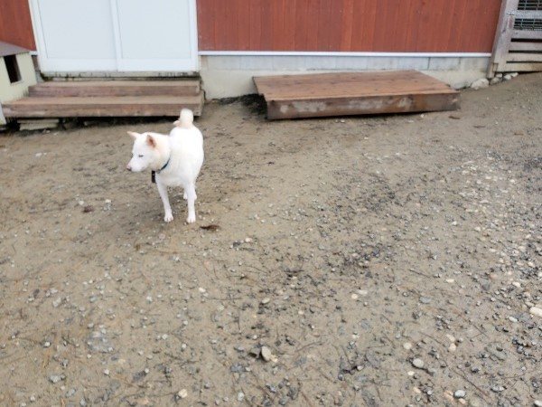 f:id:roukenhome-ann:20191213132247j:plain f:id:roukenhome-ann:20191213132247j:plain