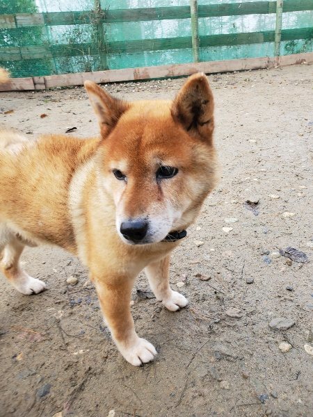 f:id:roukenhome-ann:20191213132251j:plain f:id:roukenhome-ann:20191213132251j:plain