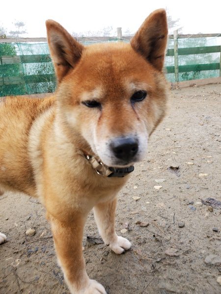 f:id:roukenhome-ann:20191213132307j:plain f:id:roukenhome-ann:20191213132307j:plain