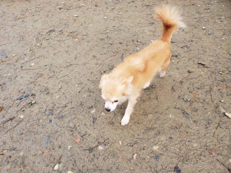 f:id:roukenhome-ann:20191213132328j:plain f:id:roukenhome-ann:20191213132328j:plain