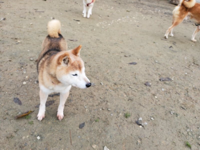 f:id:roukenhome-ann:20191213142727j:plain f:id:roukenhome-ann:20191213142727j:plain