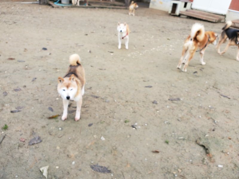 f:id:roukenhome-ann:20191213142749j:plain f:id:roukenhome-ann:20191213142749j:plain