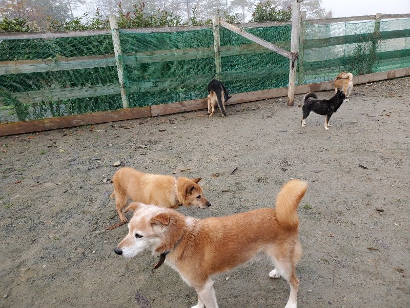f:id:roukenhome-ann:20191213142819j:plain f:id:roukenhome-ann:20191213142819j:plain