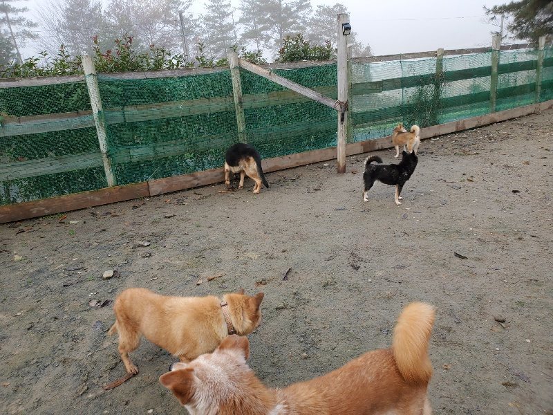 f:id:roukenhome-ann:20191213142826j:plain f:id:roukenhome-ann:20191213142826j:plain