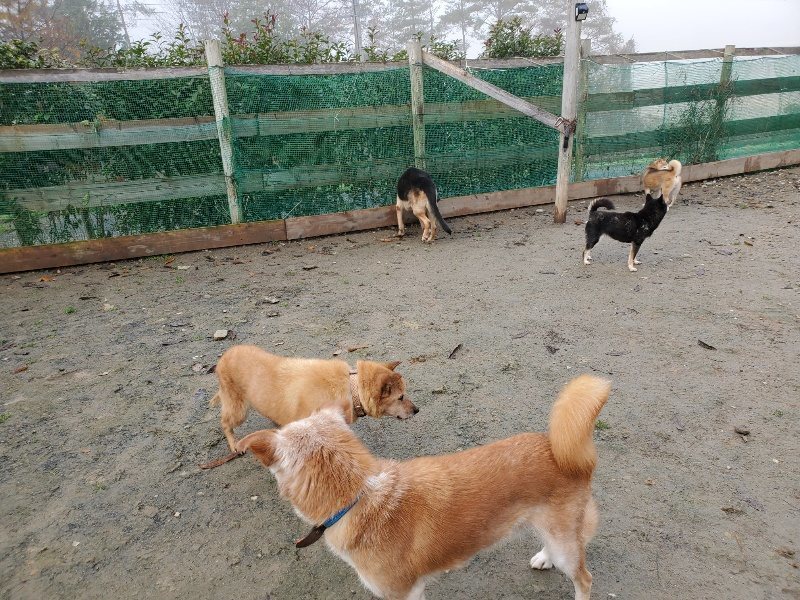 f:id:roukenhome-ann:20191213142834j:plain f:id:roukenhome-ann:20191213142834j:plain